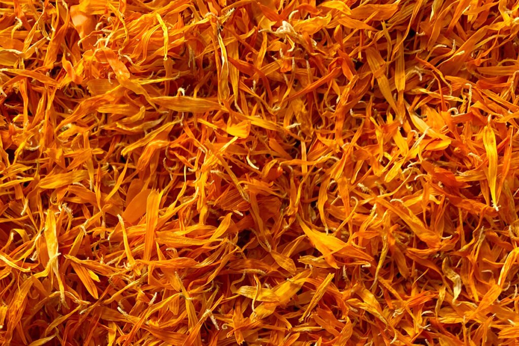 Calendula Petal