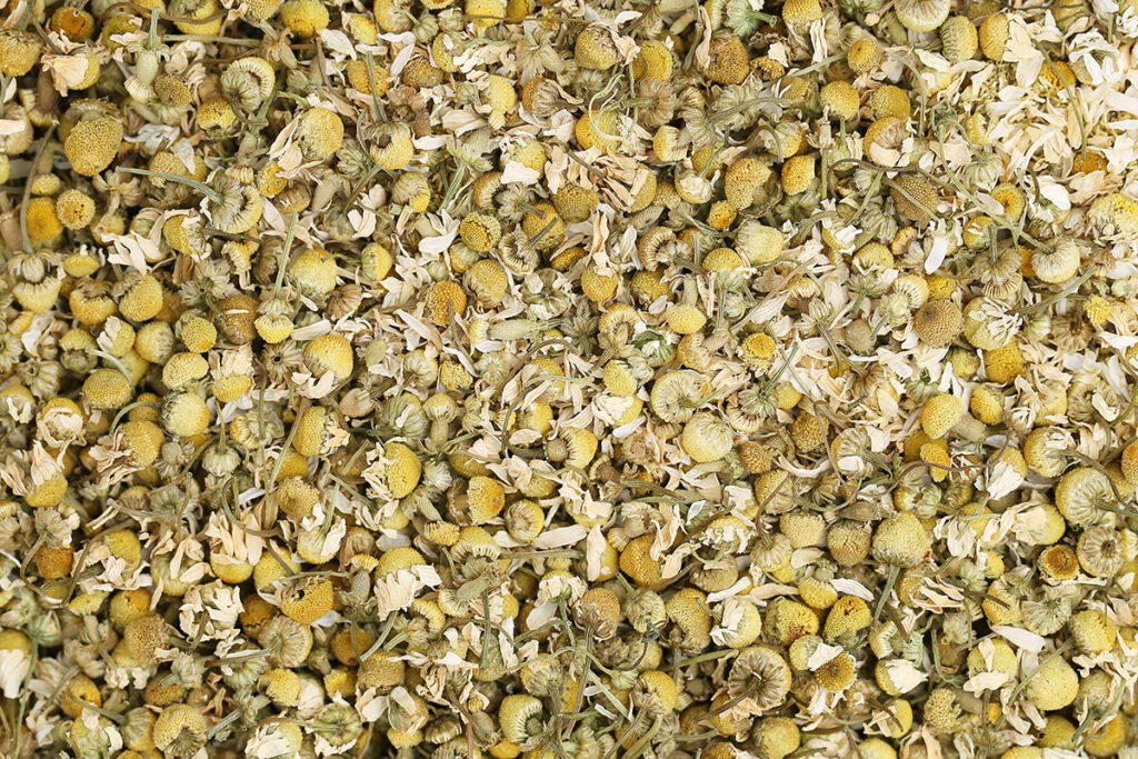 Chamomile flower of Class B
