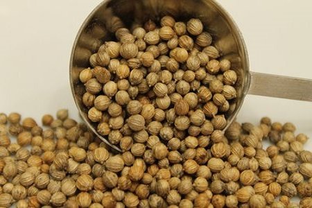 Coriander seeds