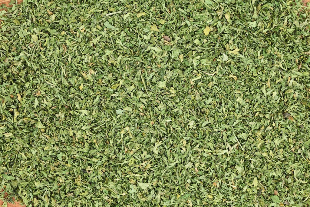 Dill leaves