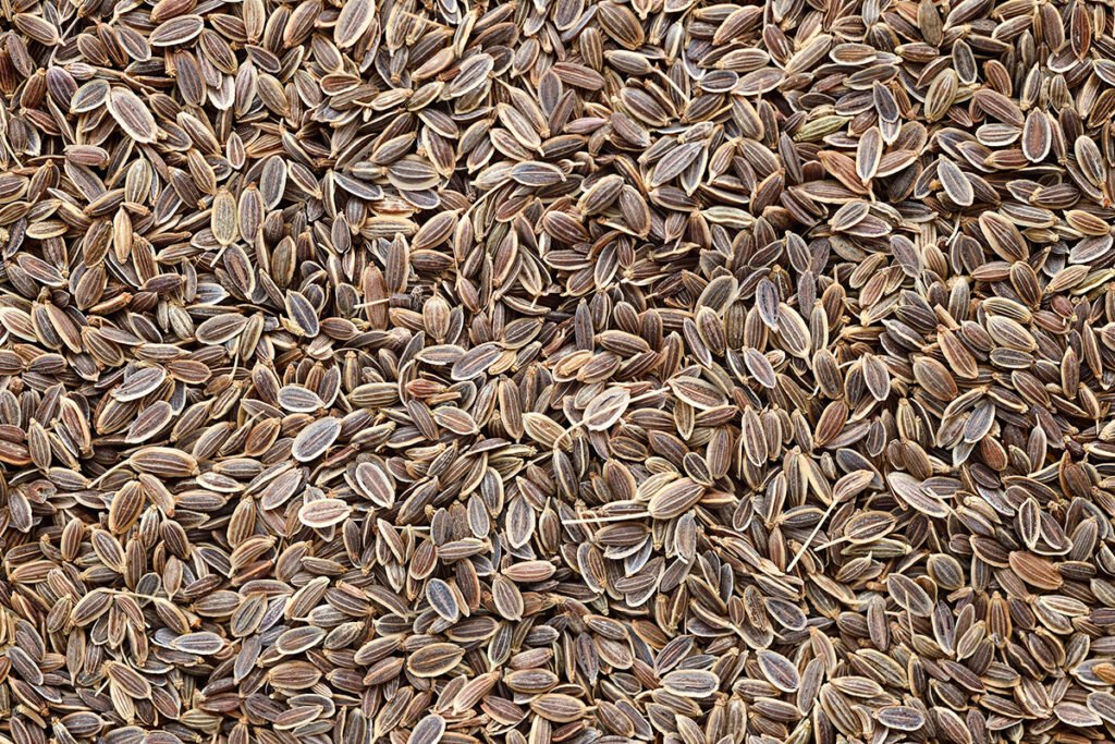 Dill seeds
