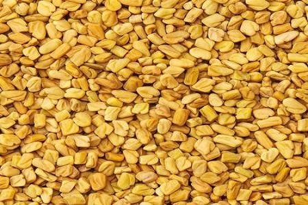 بذور الحلبة