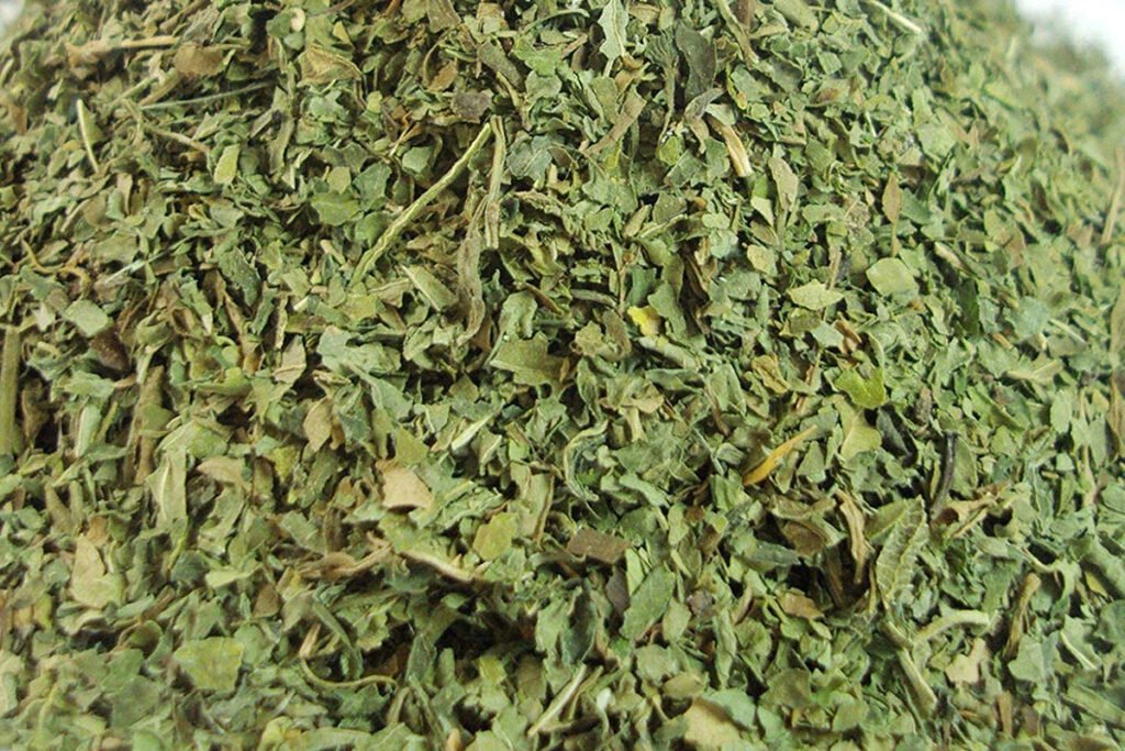 Molokhia