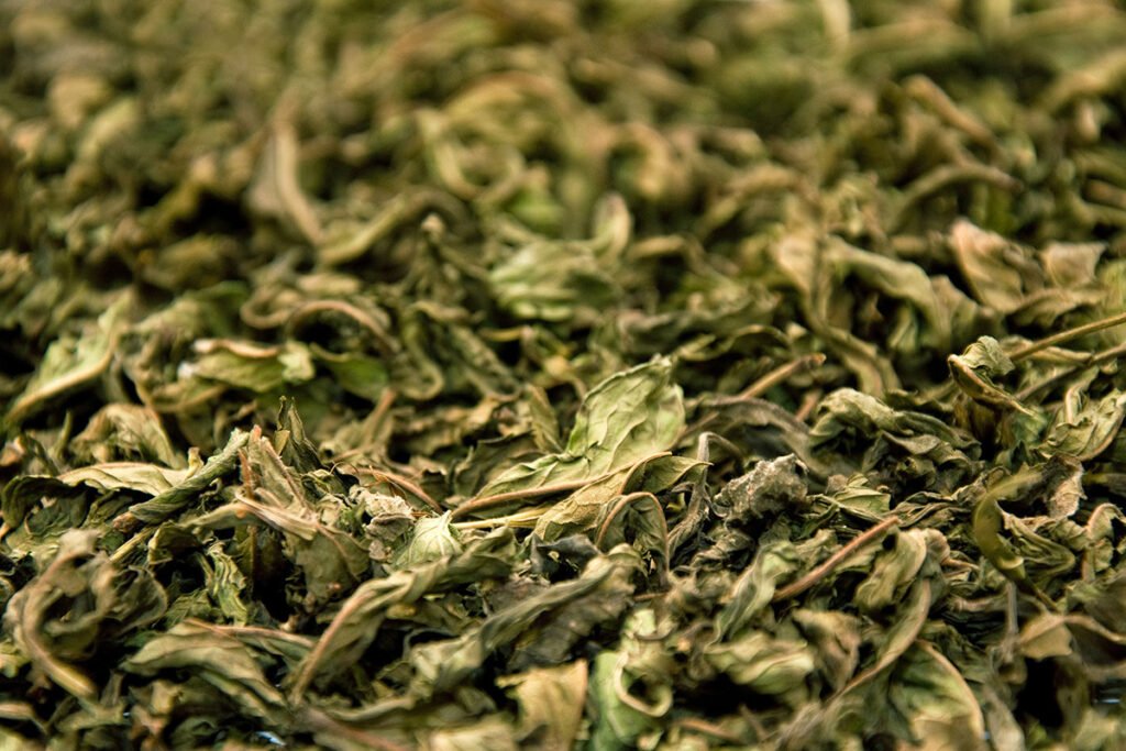 Peppermint Leaves