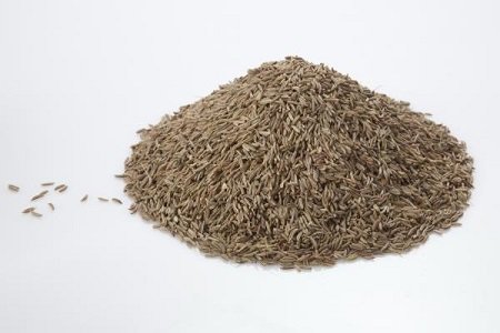 الكراوية